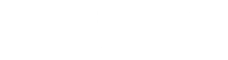 Honey Boy Studio logo